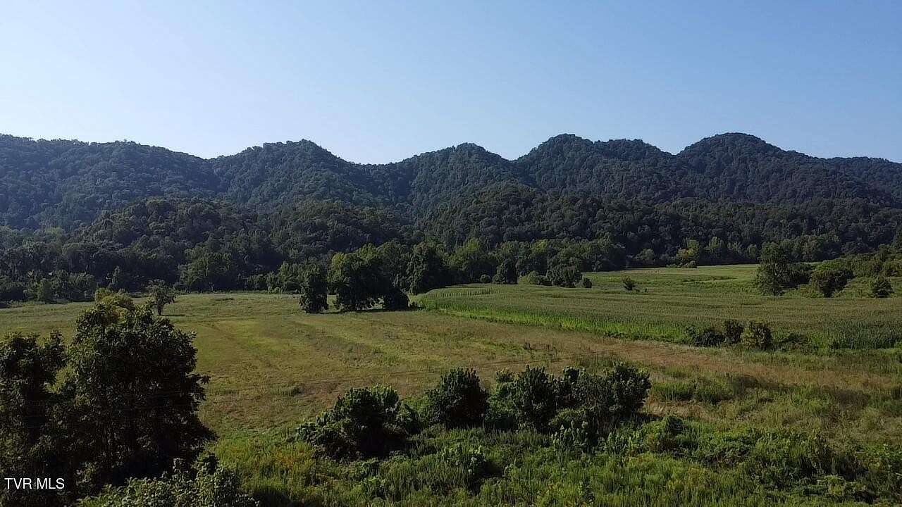 82 Acres of Agricultural Land for Sale in Blackwater, Virginia