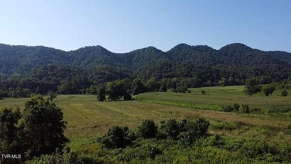 82 Acres of Agricultural Land for Sale in Blackwater, Virginia