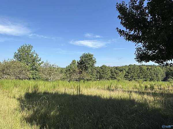 14 Acres of Land with Home for Sale in Altoona, Alabama