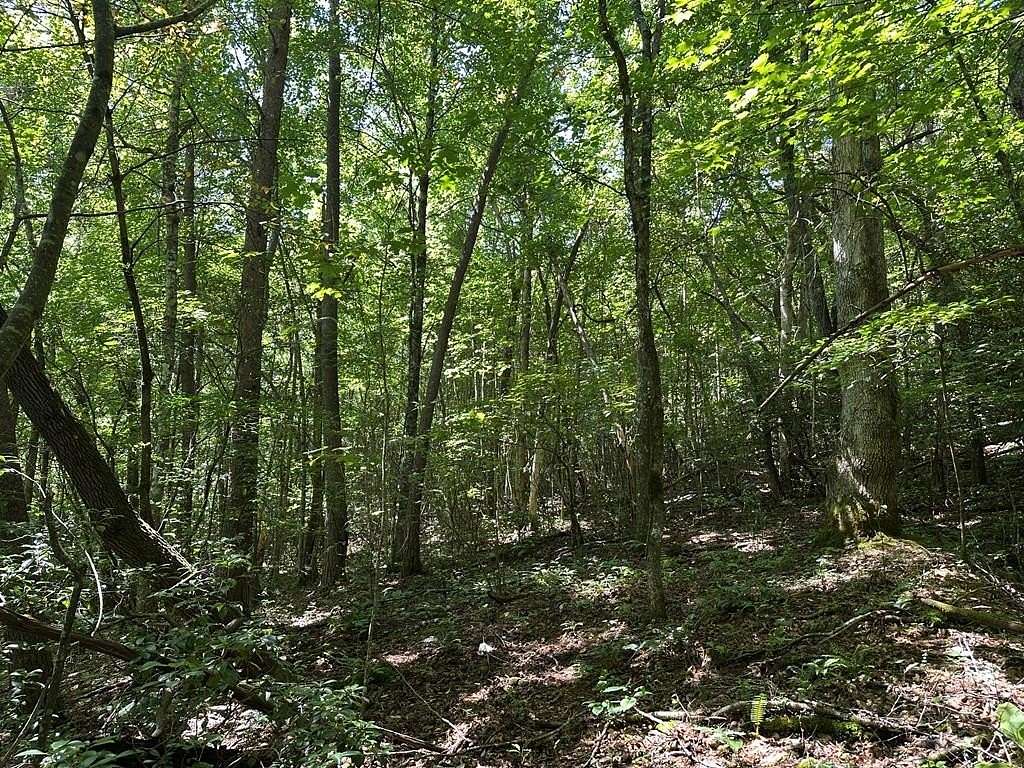 1 Acre of Residential Land for Sale in Cowee Township, North Carolina
