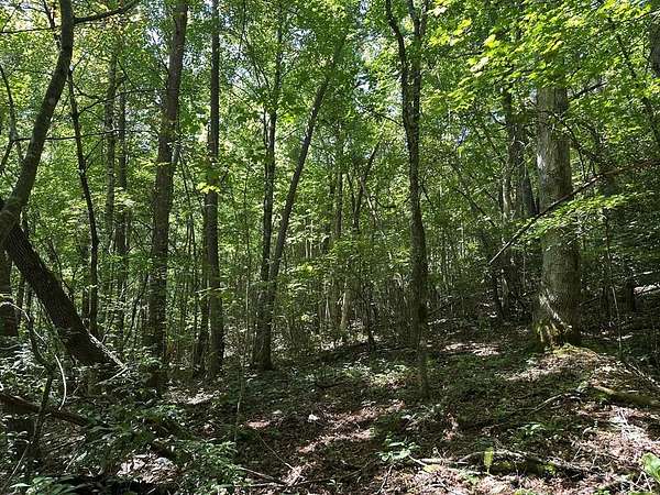 1 Acre of Residential Land for Sale in Cowee Township, North Carolina