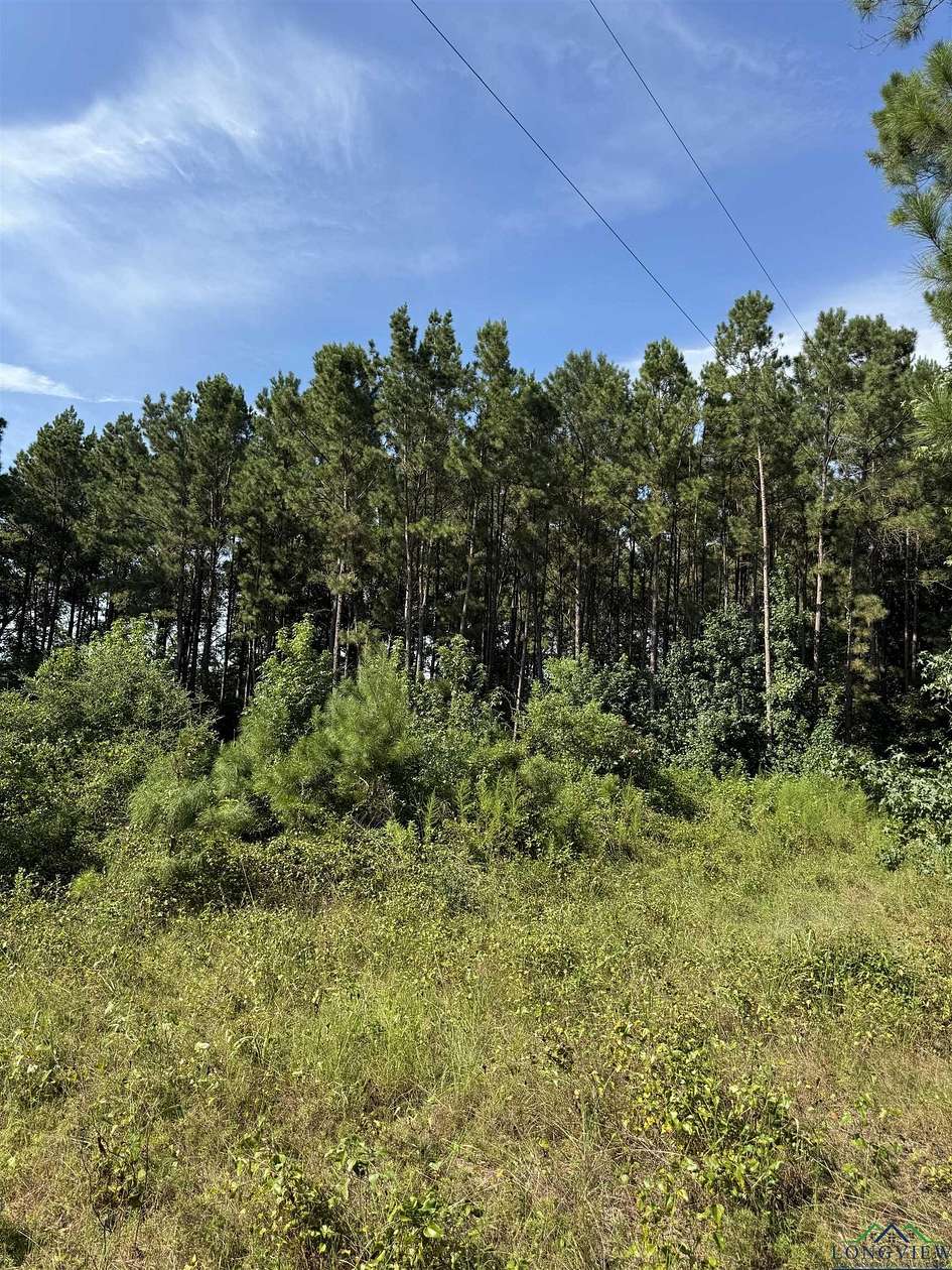 19.6 Acres of Land for Sale in Carthage, Texas