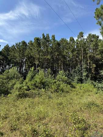 19.6 Acres of Land for Sale in Carthage, Texas