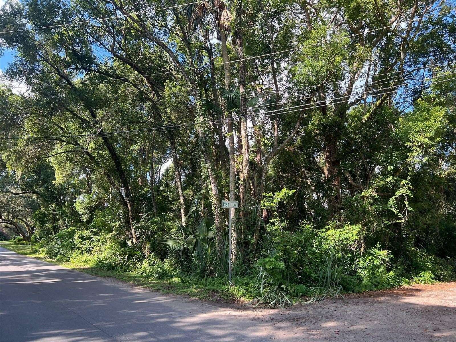 0.29 Acres of Residential Land for Sale in Sorrento, Florida