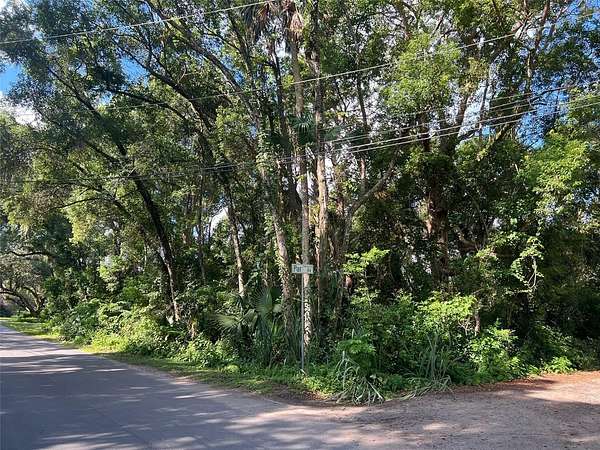 0.29 Acres of Residential Land for Sale in Sorrento, Florida
