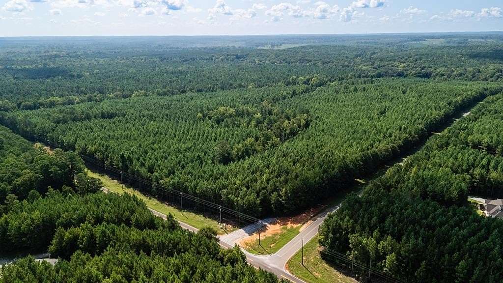 43.3 Acres of Land for Sale in Hamilton, Georgia