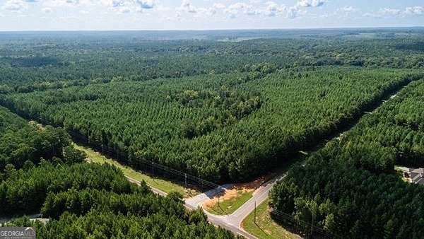 43.3 Acres of Land for Sale in Hamilton, Georgia