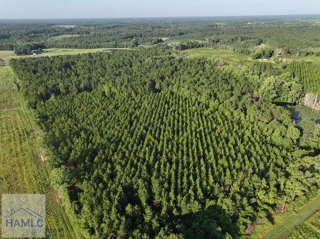 91.1 Acres of Agricultural Land for Sale in Jesup, Georgia