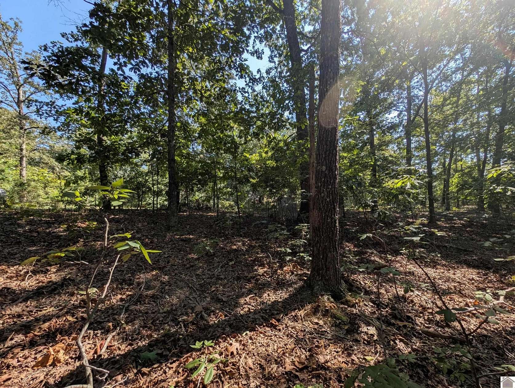 1 Acre of Residential Land for Sale in Murray, Kentucky