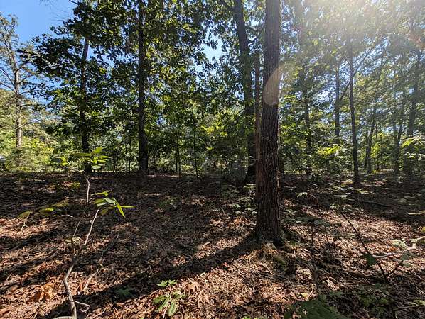 1 Acre of Residential Land for Sale in Murray, Kentucky