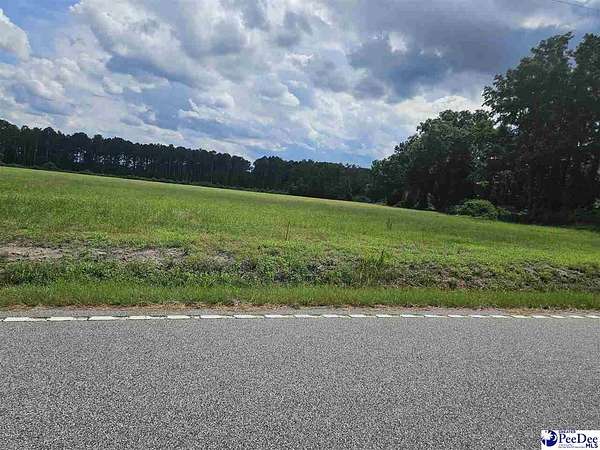 1.38 Acres of Residential Land for Sale in Latta, South Carolina
