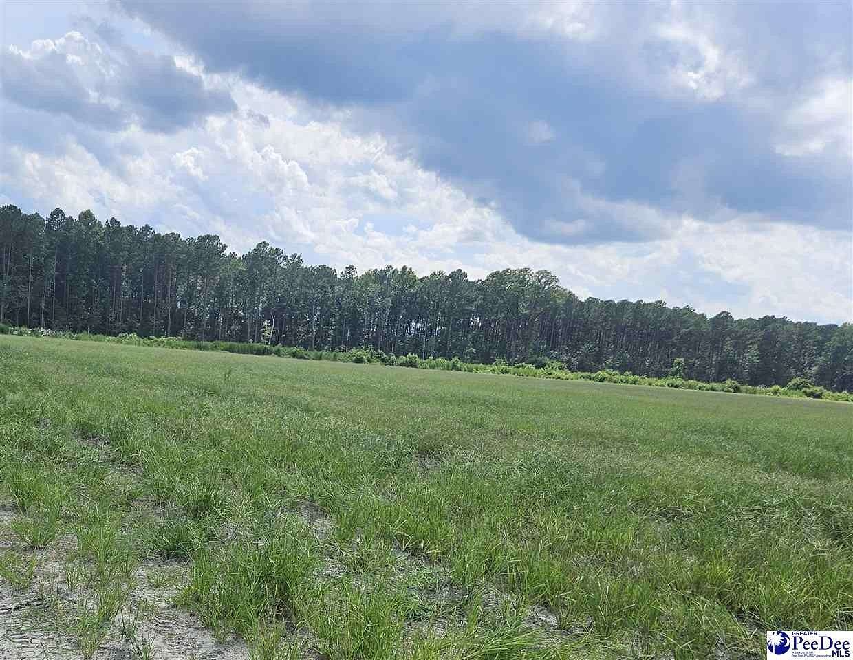 1.5 Acres of Residential Land for Sale in Latta, South Carolina
