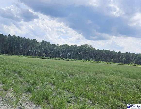 1.5 Acres of Residential Land for Sale in Latta, South Carolina