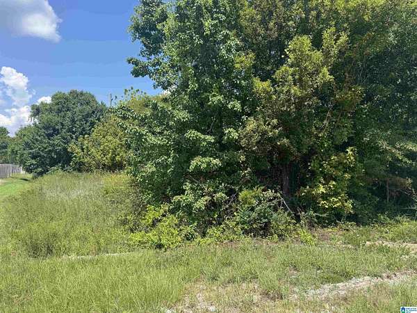3.23 Acres of Commercial Land for Sale in Anniston, Alabama