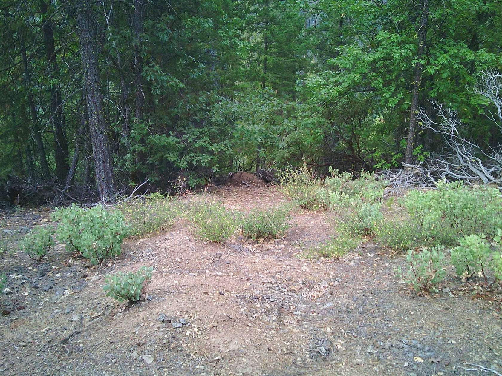 40 Acres of Recreational Land for Sale in Hornbrook, California
