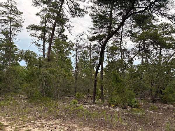 0.28 Acres of Land for Sale in Homosassa, Florida