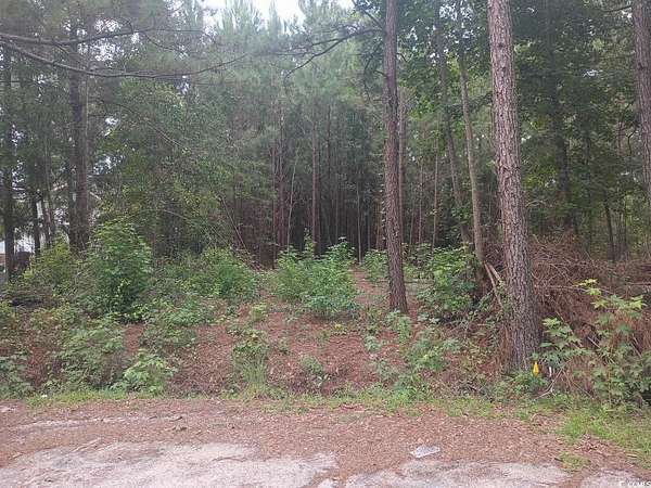0.24 Acres of Residential Land for Sale in Lake City, South Carolina