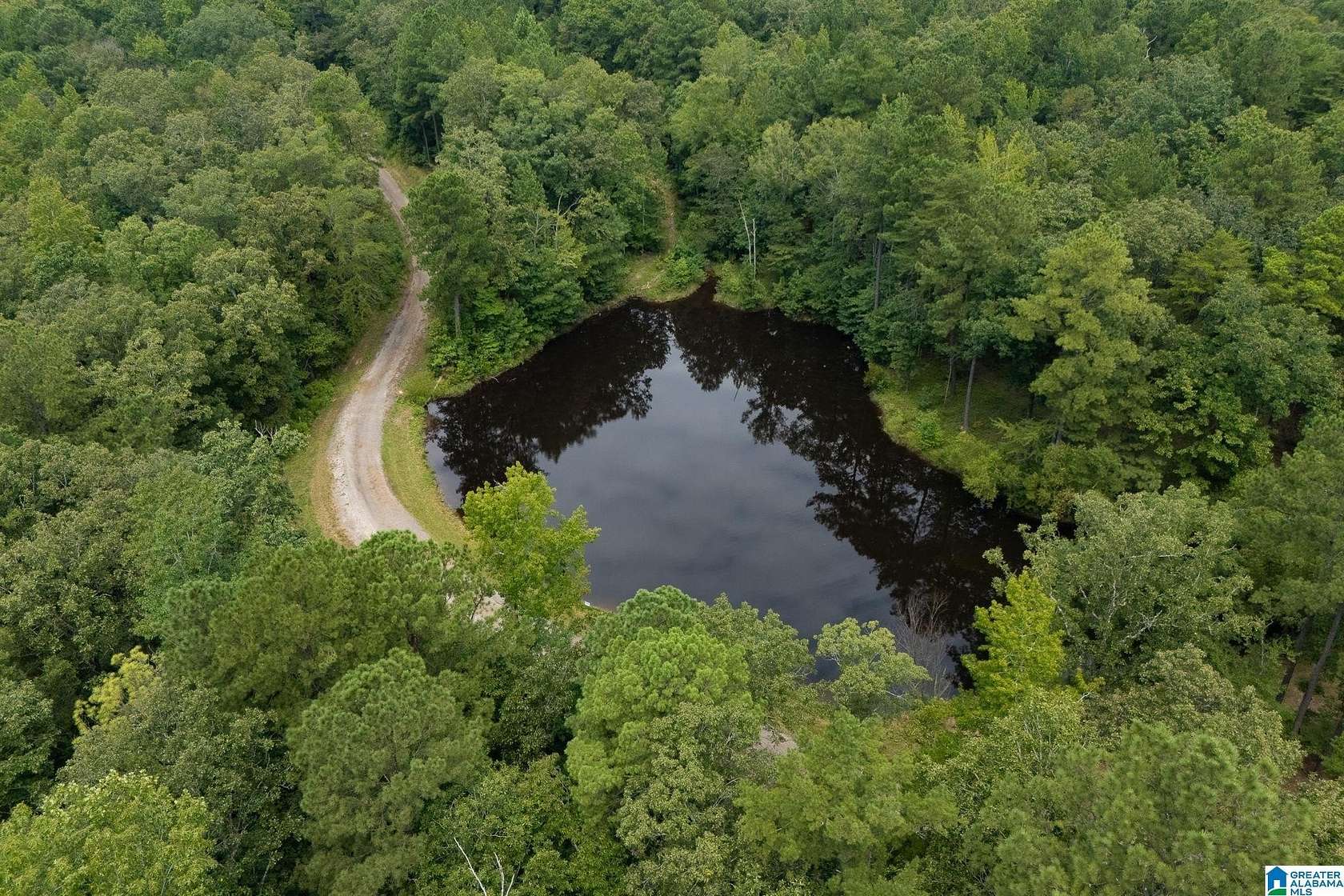 14.8 Acres of Recreational Land for Sale in Bessemer, Alabama