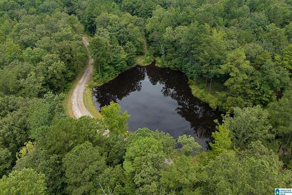 14.8 Acres of Recreational Land for Sale in Bessemer, Alabama