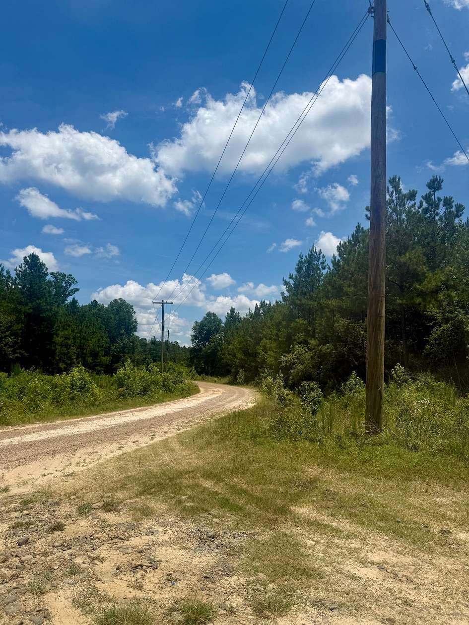 60 Acres of Recreational Land for Sale in Marthaville, Louisiana