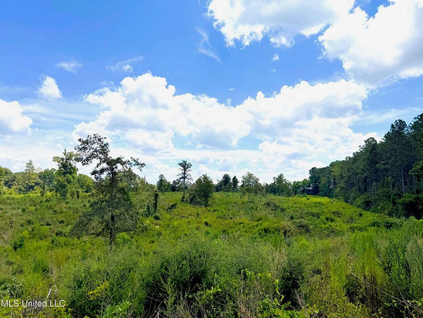 8 Acres of Land for Sale in Jayess, Mississippi