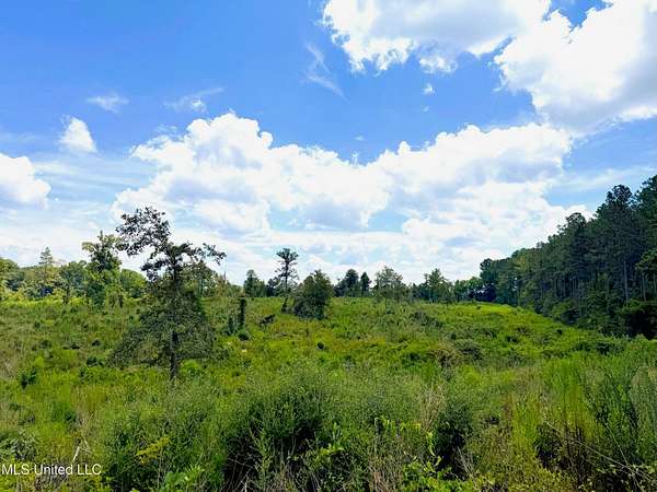 8 Acres of Land for Sale in Jayess, Mississippi