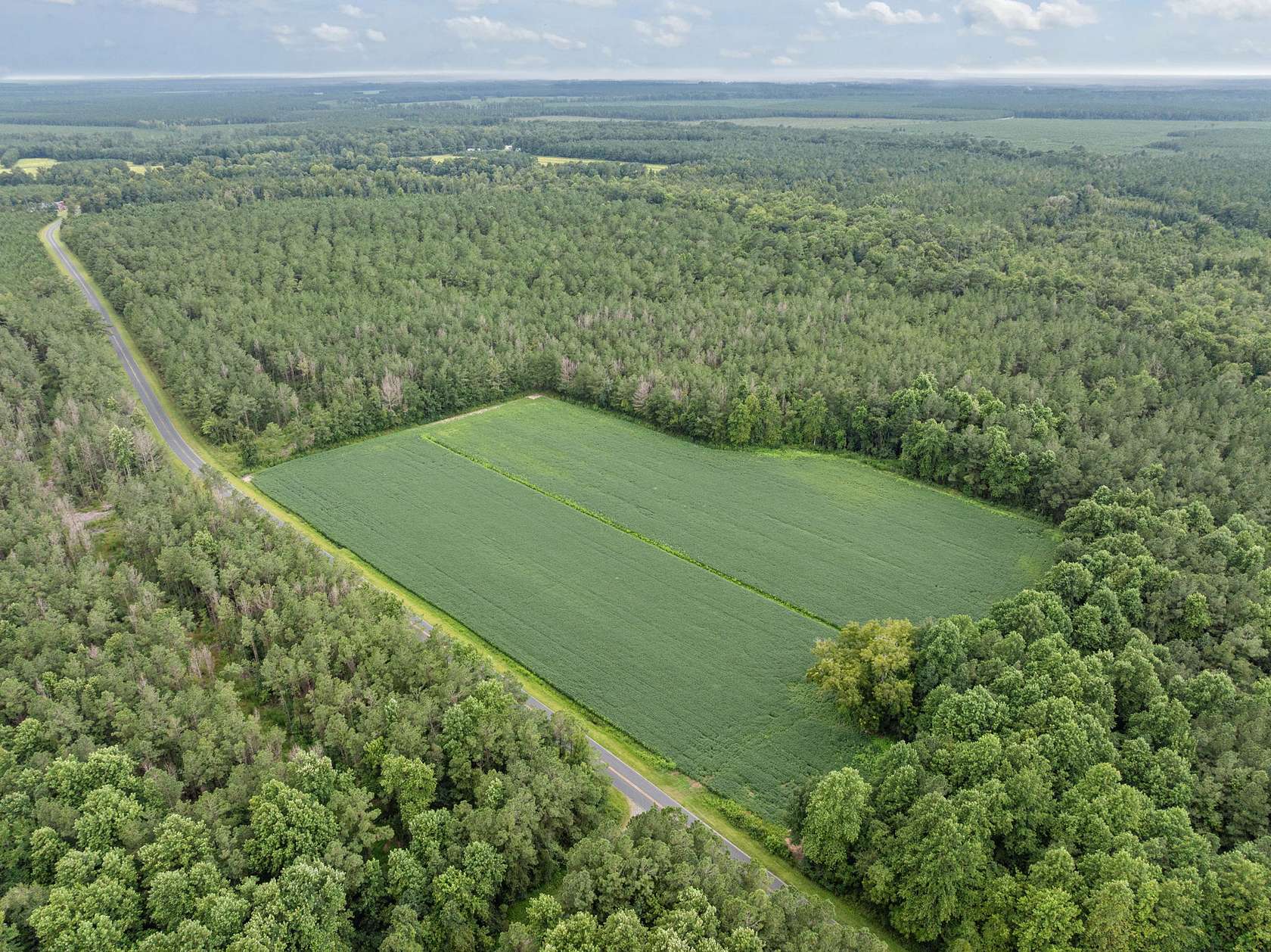 77 Acres of Land for Sale in Blounts Creek, North Carolina