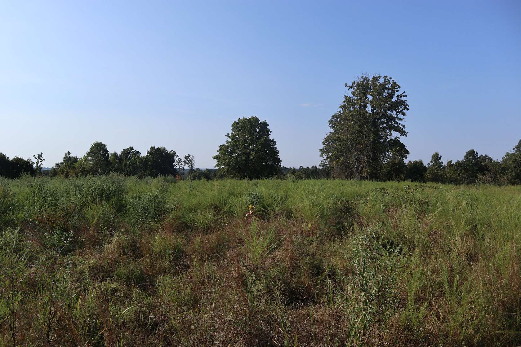 73 Acres of Land for Sale in Camp, Arkansas