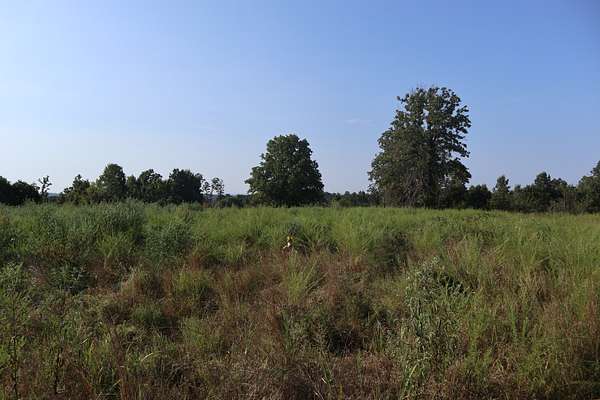 73 Acres of Land for Sale in Camp, Arkansas