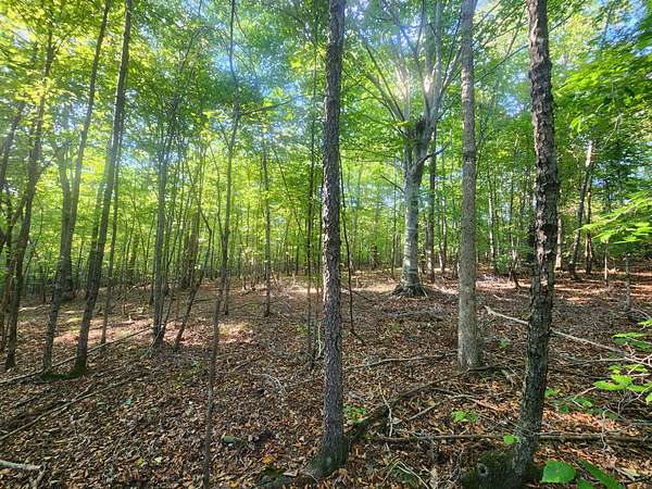 40 Acres of Recreational Land for Sale in Lawrenceburg, Tennessee