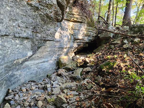 55 Acres of Recreational Land for Sale in Lawrenceburg, Tennessee