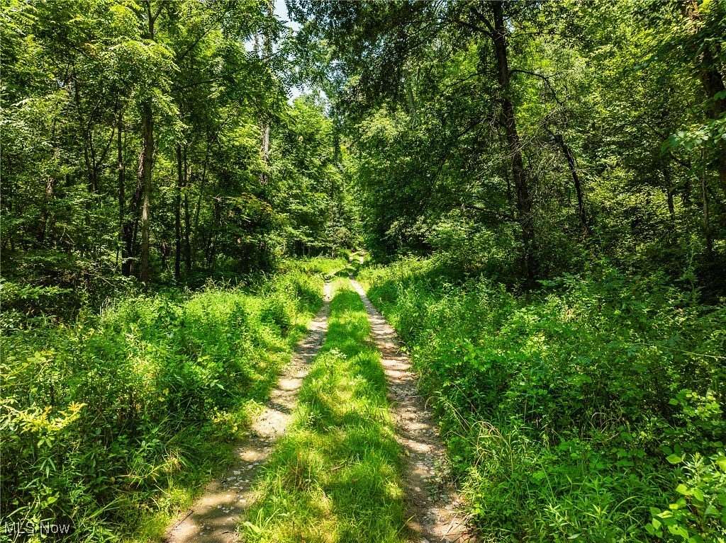 33 Acres of Recreational Land for Auction in Navarre, Ohio