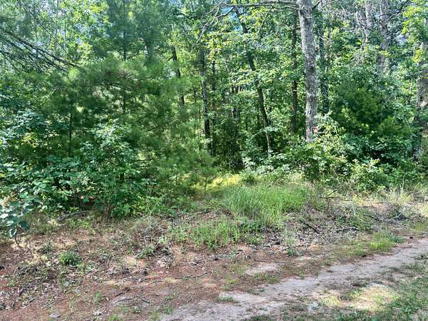 2.76 Acres of Residential Land for Sale in Idlewild, Michigan