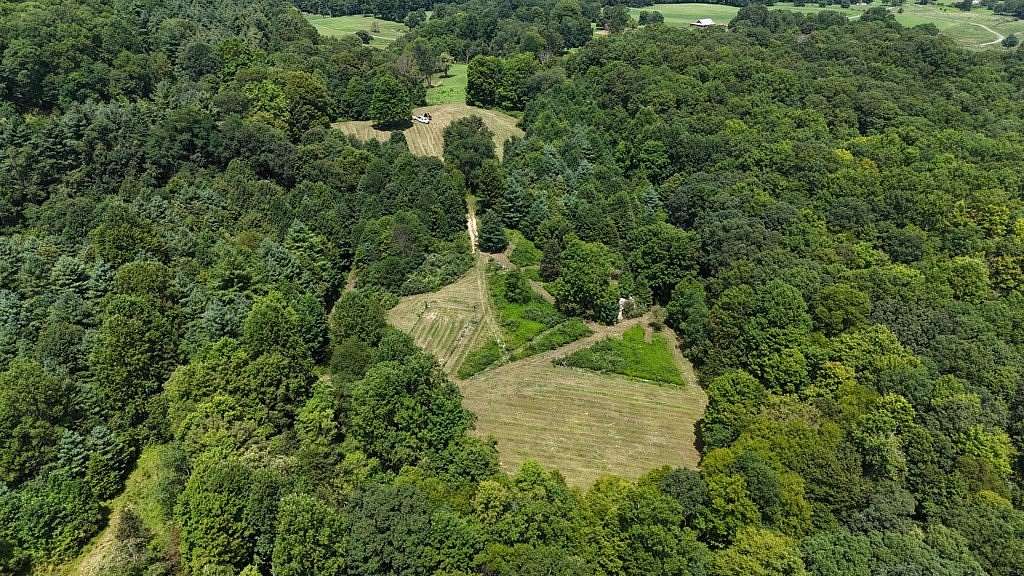 59 Acres of Recreational Land for Sale in Danese, West Virginia