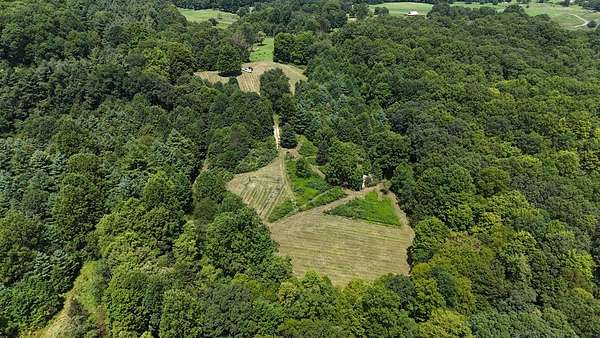 59 Acres of Recreational Land for Sale in Danese, West Virginia