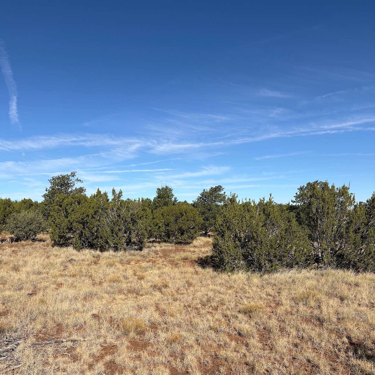 12.4 Acres of Land for Sale in Concho, Texas