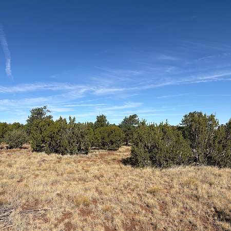 12.4 Acres of Land for Sale in Concho, Texas