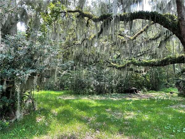 4.56 Acres of Residential Land for Sale in Brunswick, Georgia