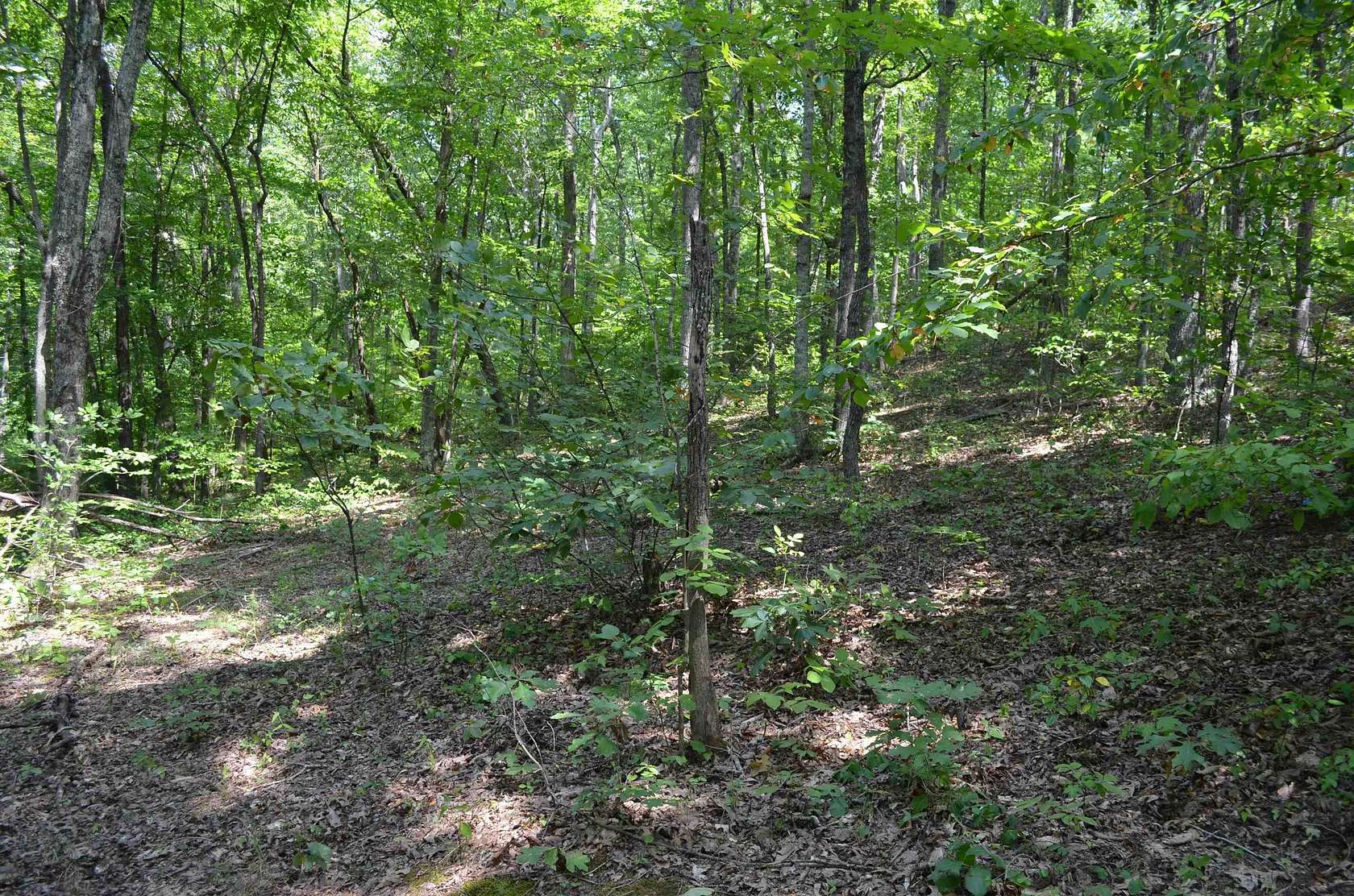 28.3 Acres of Recreational Land & Farm for Sale in Fort Gay, West Virginia