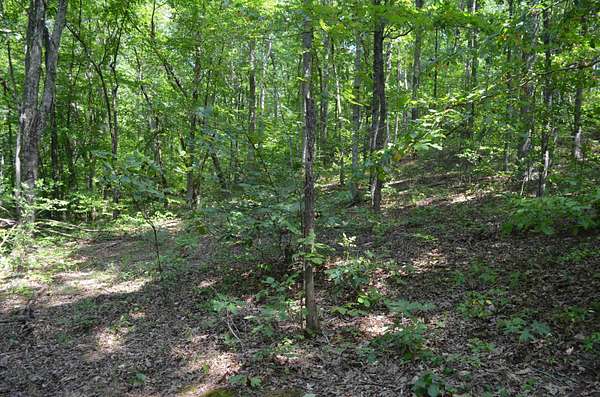 28.3 Acres of Land for Sale in Fort Gay, West Virginia