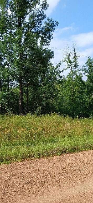 10 Acres of Recreational Land for Sale in Boyd, Wisconsin