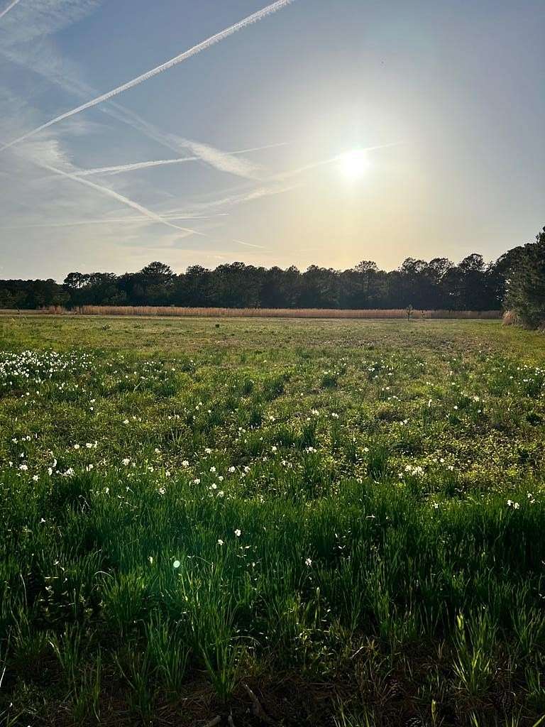 1 Acre of Residential Land for Sale in Harborton, Virginia