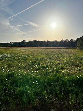 1 Acre of Residential Land for Sale in Harborton, Virginia