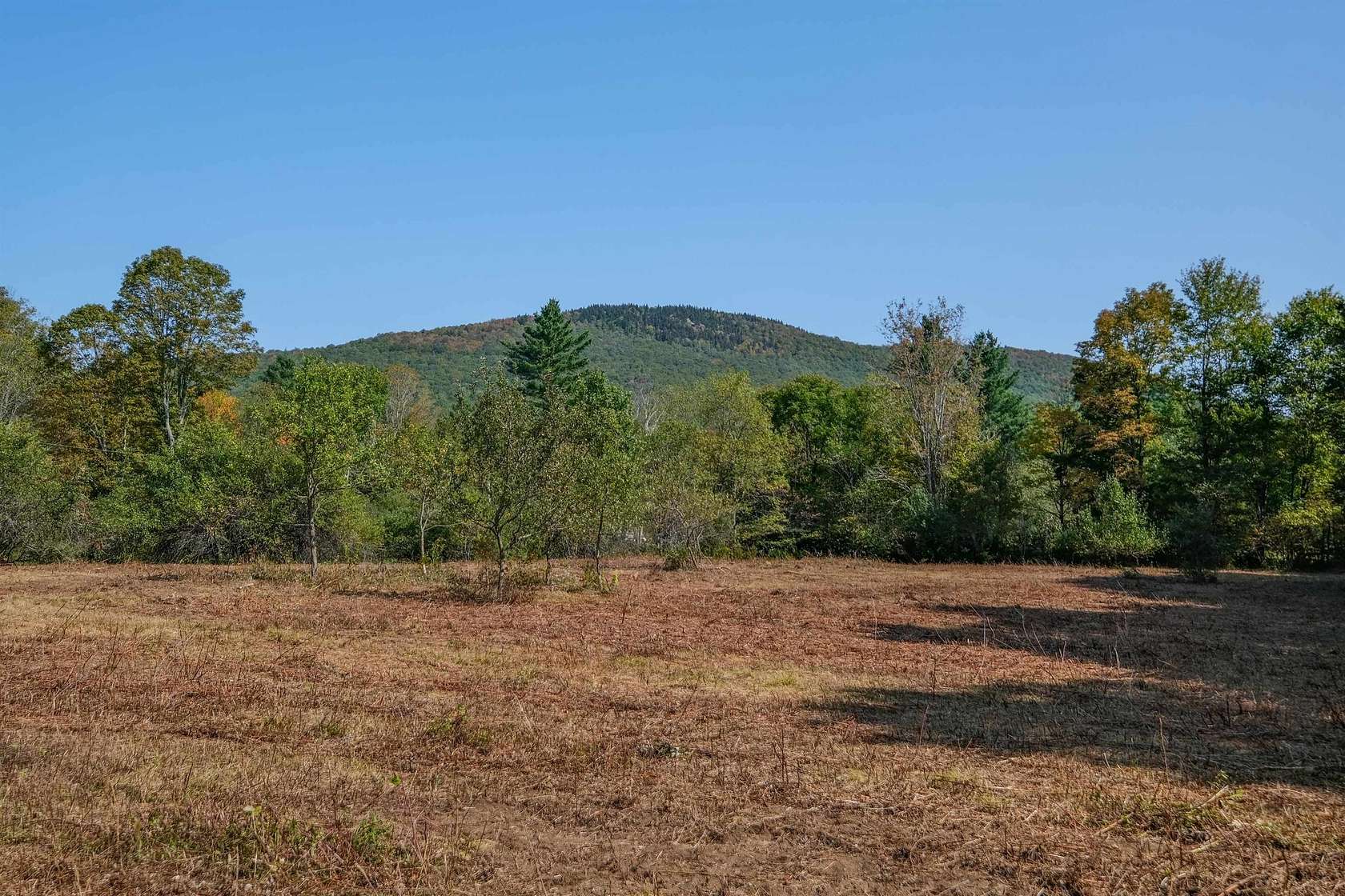 2 Acres of Residential Land for Sale in Mount Holly, Vermont