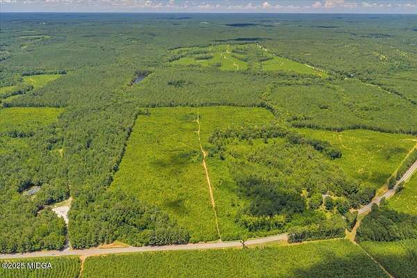 87.5 Acres of Land for Sale in Forsyth, Georgia