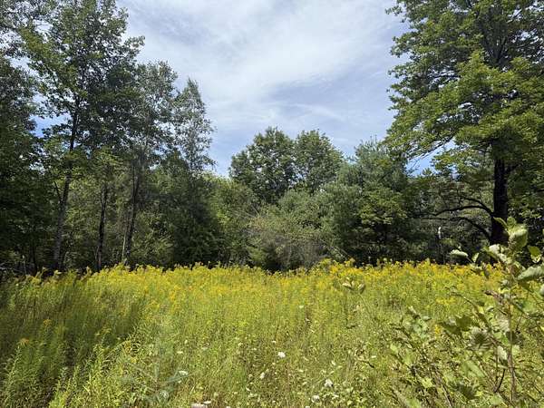 61.7 Acres of Land for Sale in Bowdoin Town, Maine