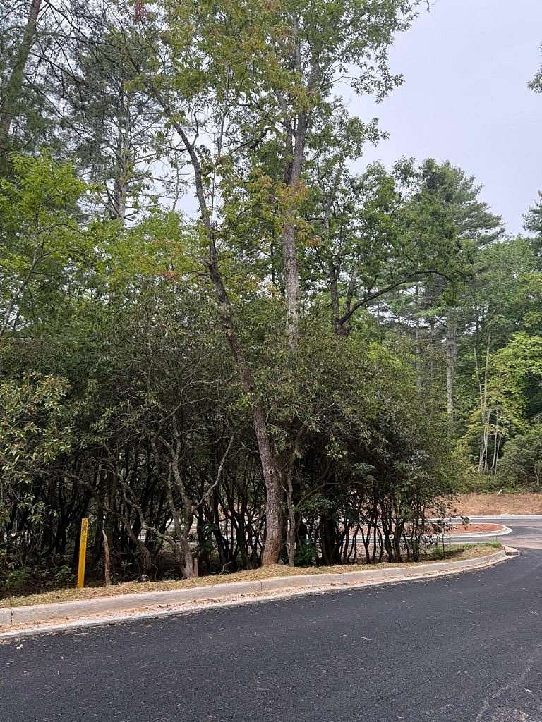 0.16 Acres of Residential Land for Sale in Franklin Township, North Carolina