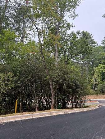 0.16 Acres of Residential Land for Sale in Franklin Township, North Carolina