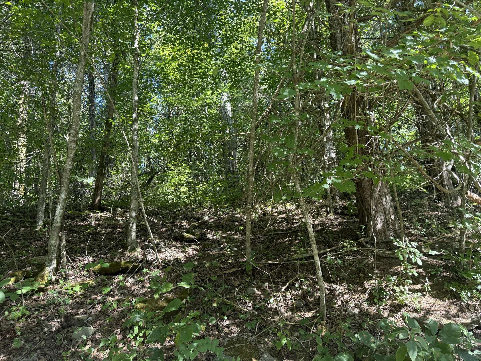 20 Acres of Recreational Land for Sale in Lawrenceburg, Kentucky