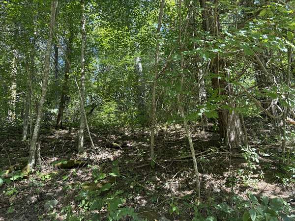 20 Acres of Recreational Land for Sale in Lawrenceburg, Kentucky